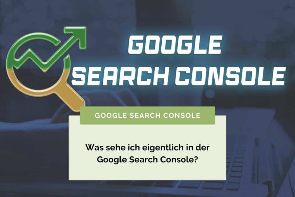 Screenshot der Google Search Console