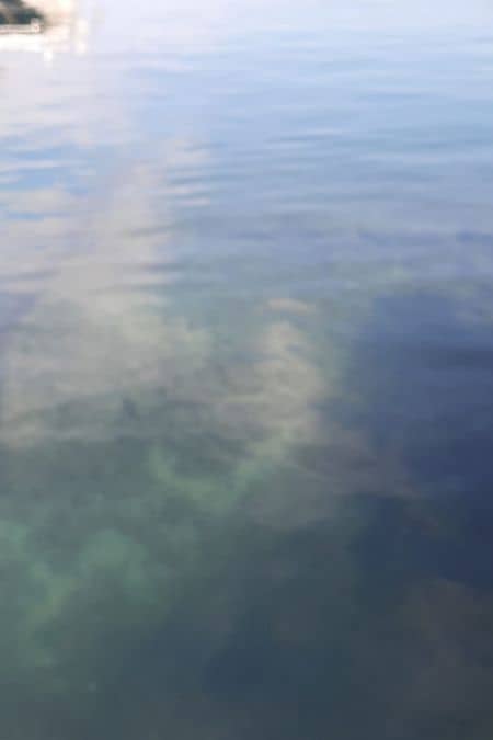 Wasser